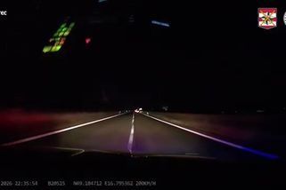 „Jedeme 200, docela to pálí.“ Policisté ukázali video z honičky u Brna, muže v audi zastavil až sloup - Novinky